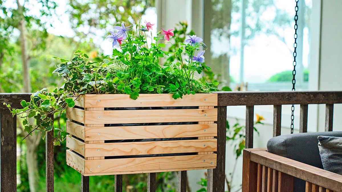 Eine einfache Holzkiste aus Leisten hängt an einem Balkongeländer. In der Blumenkiste befinden sich Blumen. Man sieht viele grüne Bläter und ein paar kleine lila und rosane Blüten.