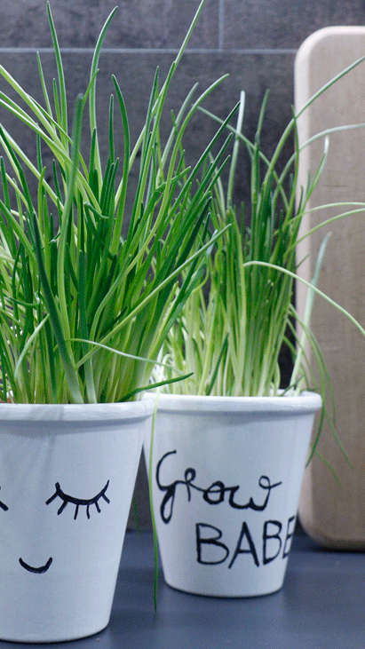 Blumentopf bemalen | Selbst