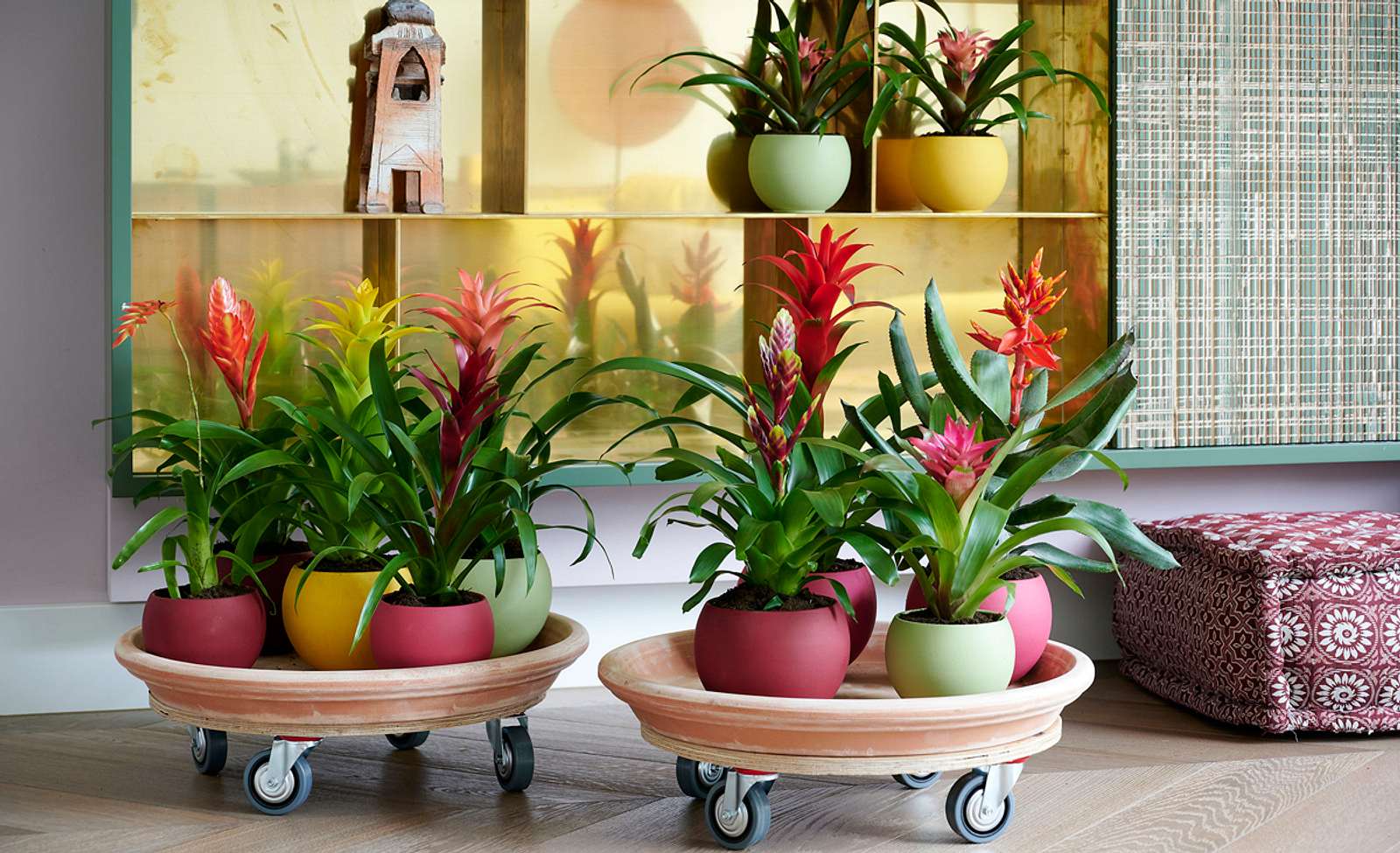 Bromelia | Selbst