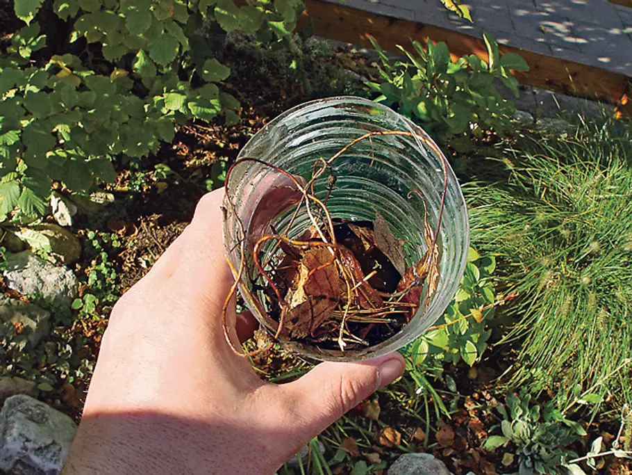 Dachrinnenreinigung Dachrinnen reinigen