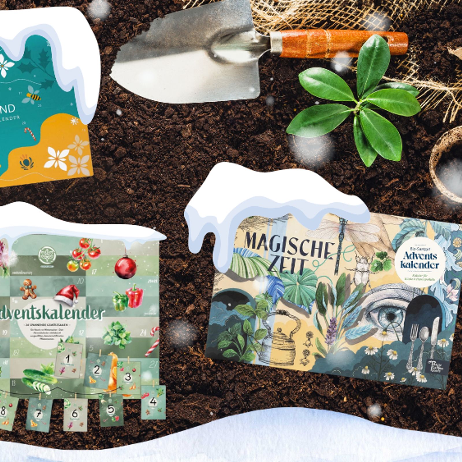 Saatgut Adventskalender 2025: Das schnste Geschenk fr Hobbygrtner |  Selbst