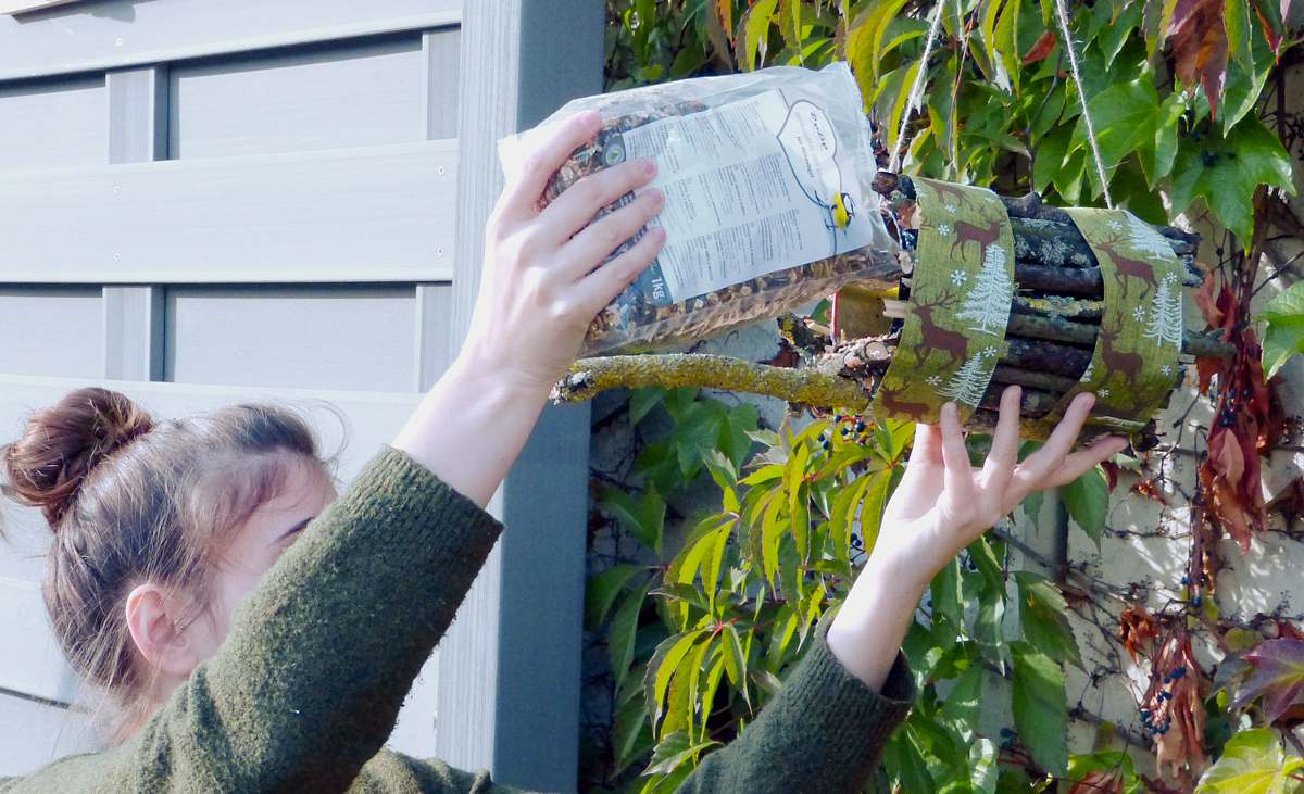 Futterstelle für Vögel selber bauen