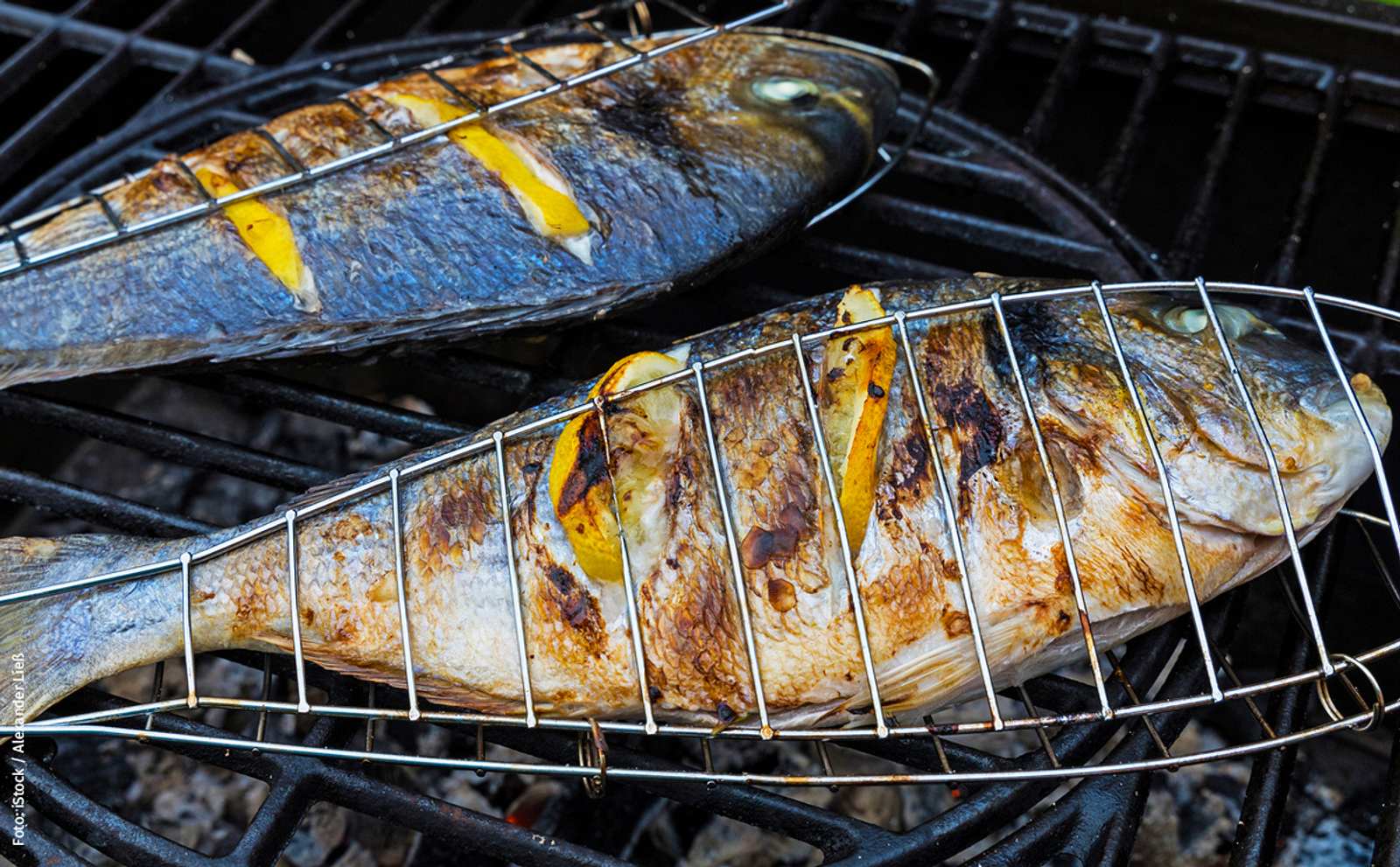 Dorade Grillen | Selbst.de