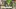 Video Platzhalter
