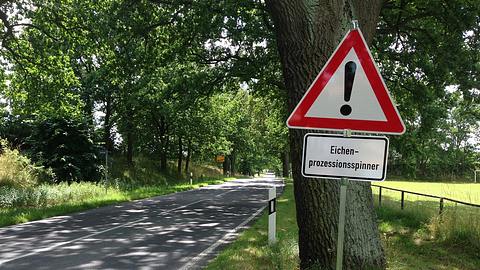 Eichenprozessionsspinner Warnschild - Foto: ceskyfreund36 / Pixabay