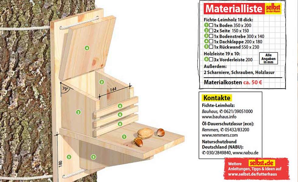 Eichhrnchen: Das richtige Nest & Futter | Selbst
