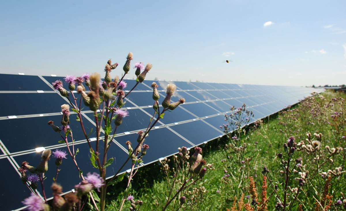 Energiesparen: Solarstrom Photovoltaik