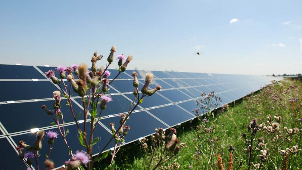 Energiesparen: Solarstrom Photovoltaik