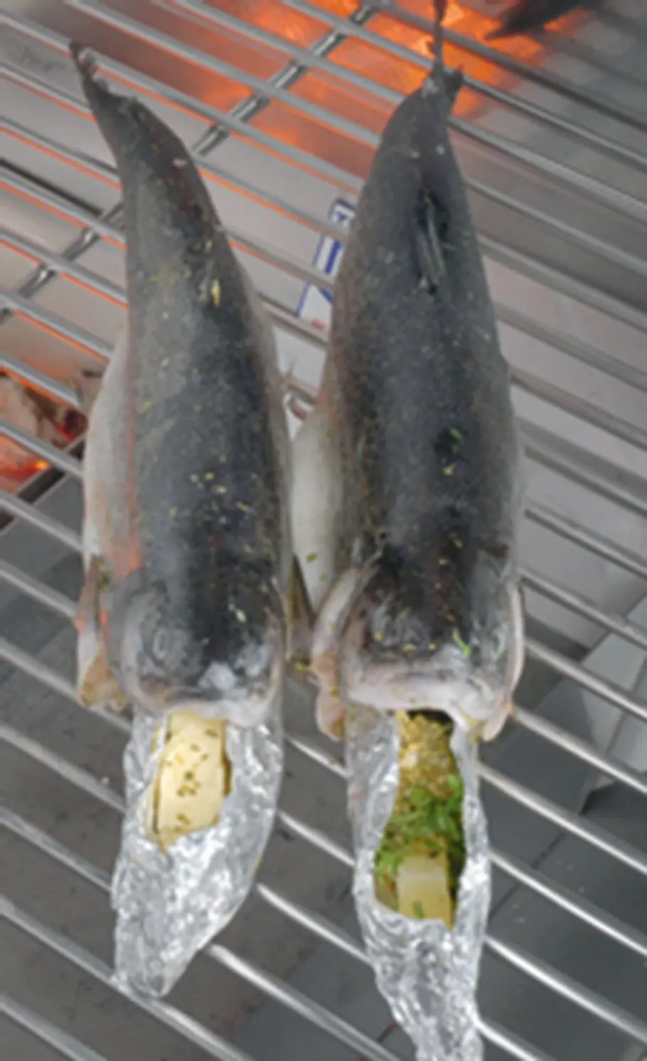 So saftig sind Forelle, Lachs & Co. vom Grill Fisch grillen