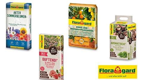 Floragard Gewinne Sommerzeit - Foto: Hersteller / Floragard