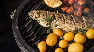 Frischer Fisch vom Grill schmeckt immer noch am besten. - Foto: iStock / IndigoLT