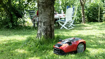 Freelexo Cam 500 im Garten - Foto: Michael Müller-Münker Freelexo Cam 500 im Garten - Foto: Michael Müller-Münker