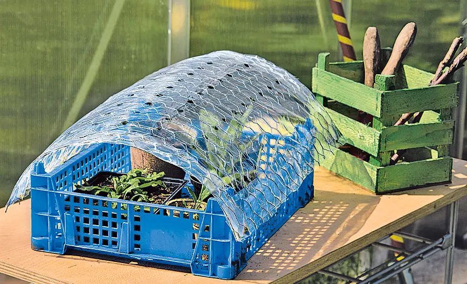 Upcycling: Frühbeettunnel selber bauen