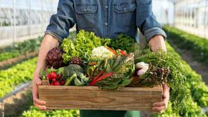 Dieses Gemüse hat im Frühling Saison | Das leckerste Frühlingsgemüse - Foto: iStock / alle12