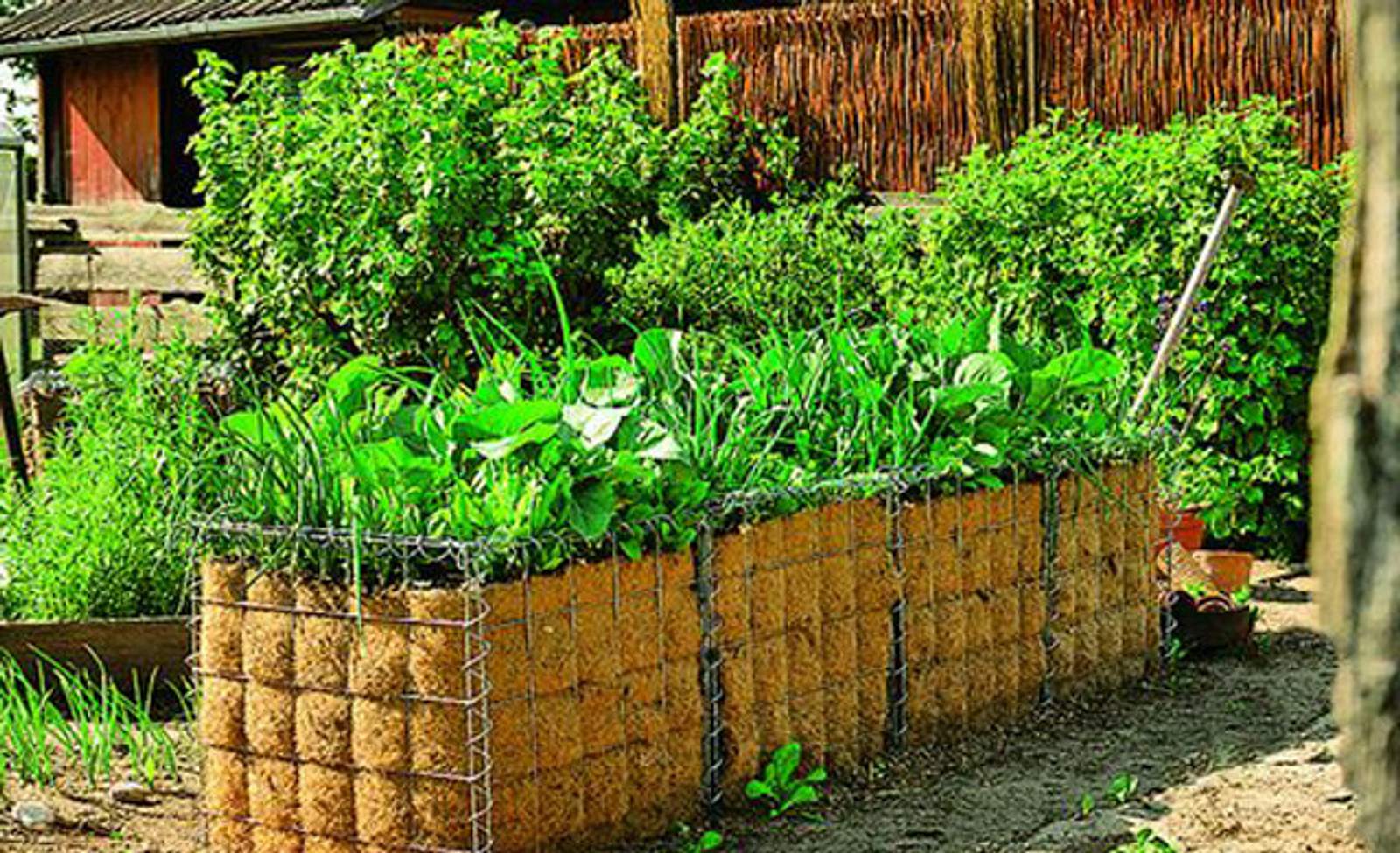 Hochbeet: Gabionen | Selbst