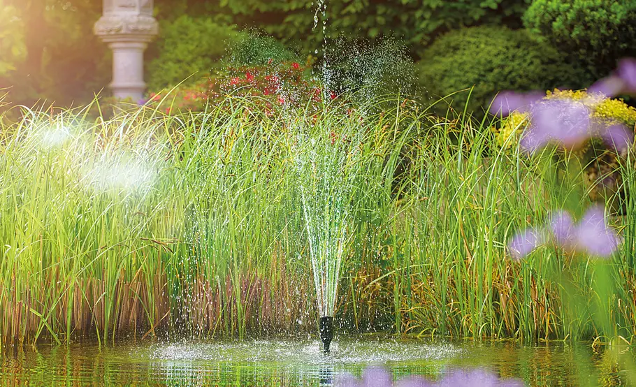 Spartipps für Garten und Balkon