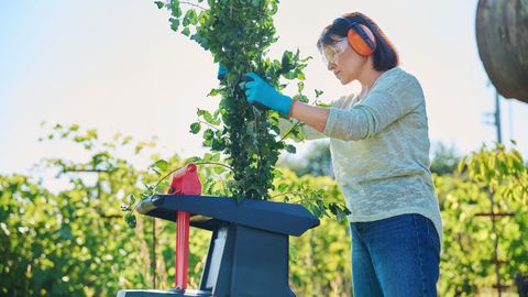 Gartenhäcksler bei Stiftung Warentest - Foto: SelbstCanva