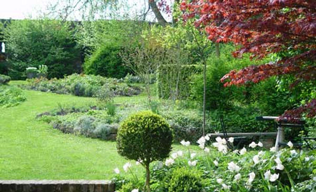 Gartenideen: Problem-Gärten optimal gestalten