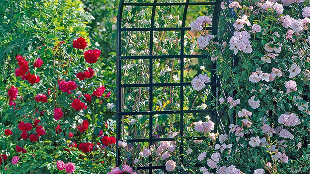 Gartenplanung