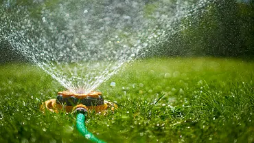Gartensprenger kaufen - Foto: Getty Images/ Chris Clor Gartensprenger kaufen - Foto: Getty Images/ Chris Clor