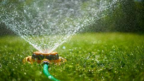 Gartensprenger kaufen - Foto: Getty Images/ Chris Clor