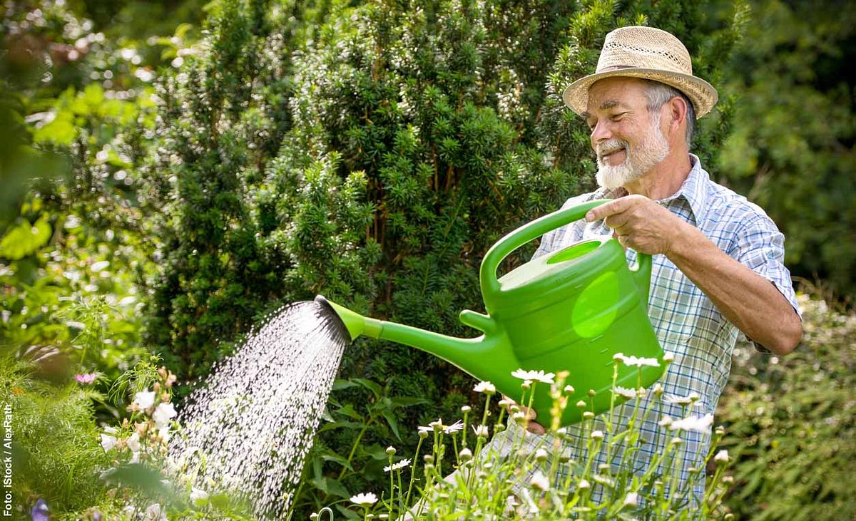 Alter Mann gießt seine Blumen mit einer Gießkanne