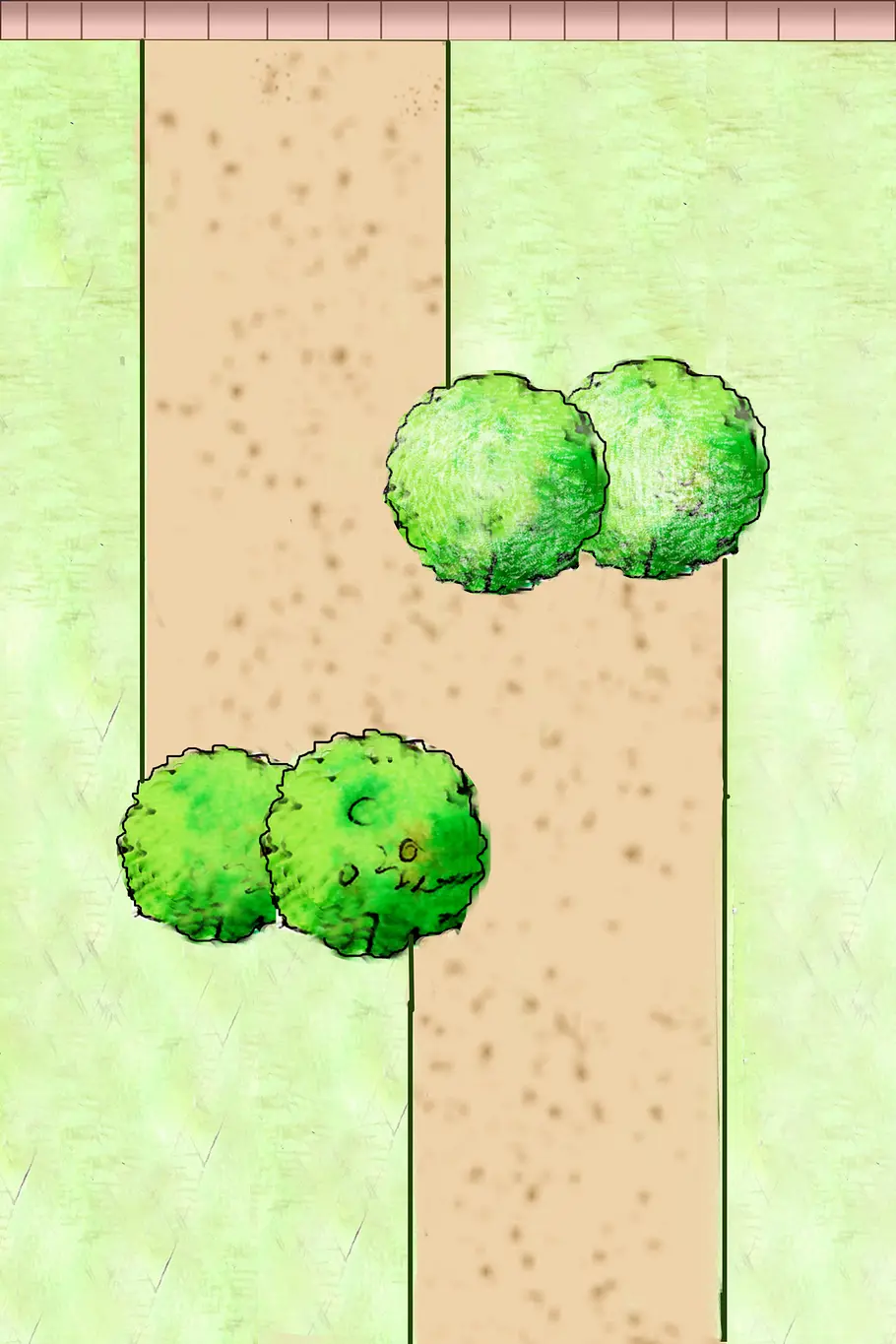 Zickzack Gartenweg-Ideen