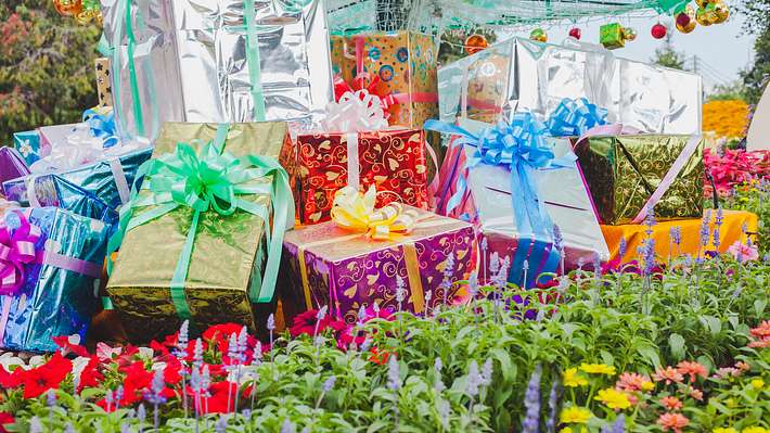 Geschenke für Gartenliebhaber - Foto: istock/amnarj2006