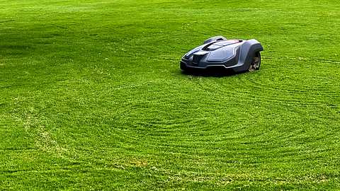 Zucchetti Ambrogio Mähroboter - Foto: Getty Images/ Catherine McQueen