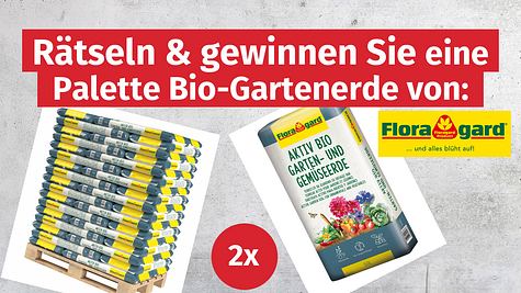 Gewinne-gsh-01-25 - Foto: Hersteller/ Floragard; Hintergrund: iStock / Xurzon
