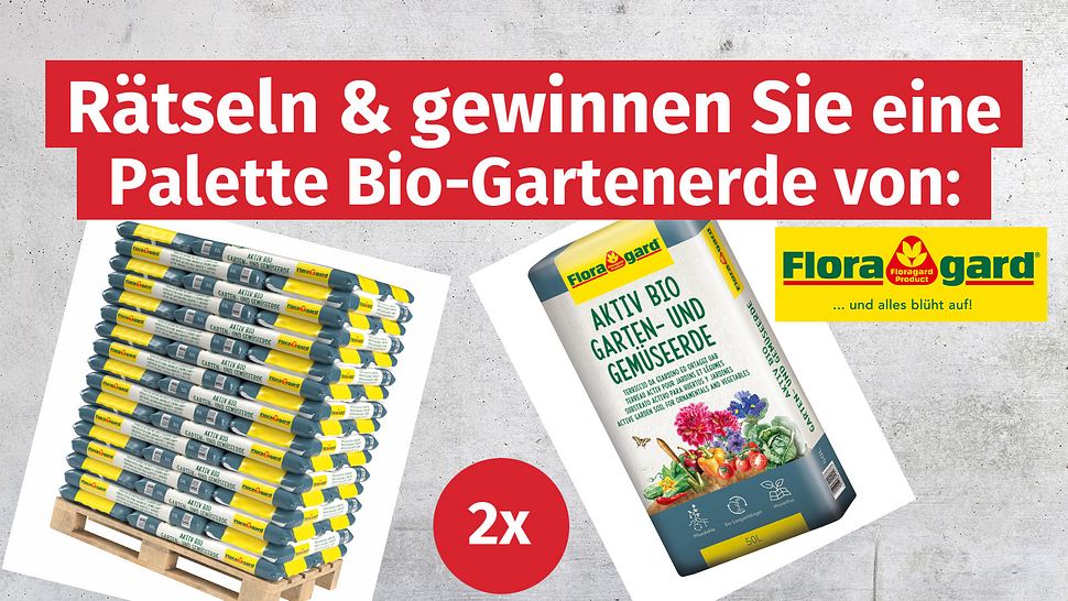 Gewinne-gsh-01-25 - Foto: Hersteller/ Floragard; Hintergrund: iStock / Xurzon
