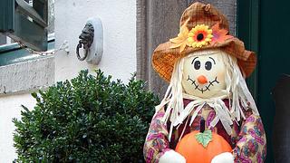Halloween-Deko: Garten - Foto: Thomas Max Müller / pixelio.de