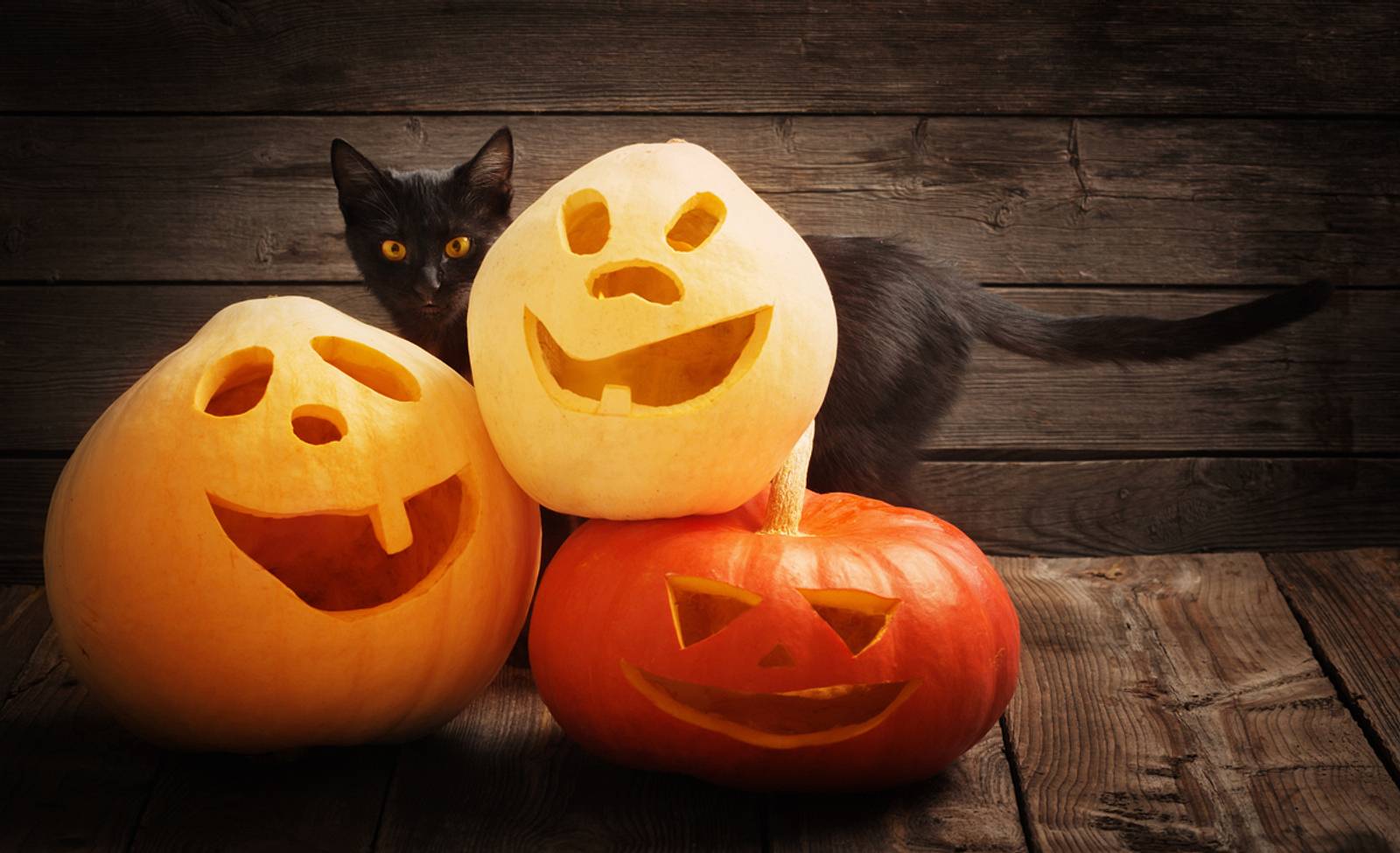 Bedeutung & Ursprung von Halloween | selbst.de