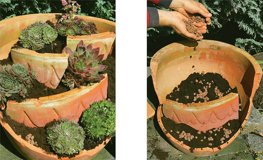 Mini-Steingarten: Mini-Steingarten