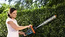 Hecke schneiden Hecke schneiden