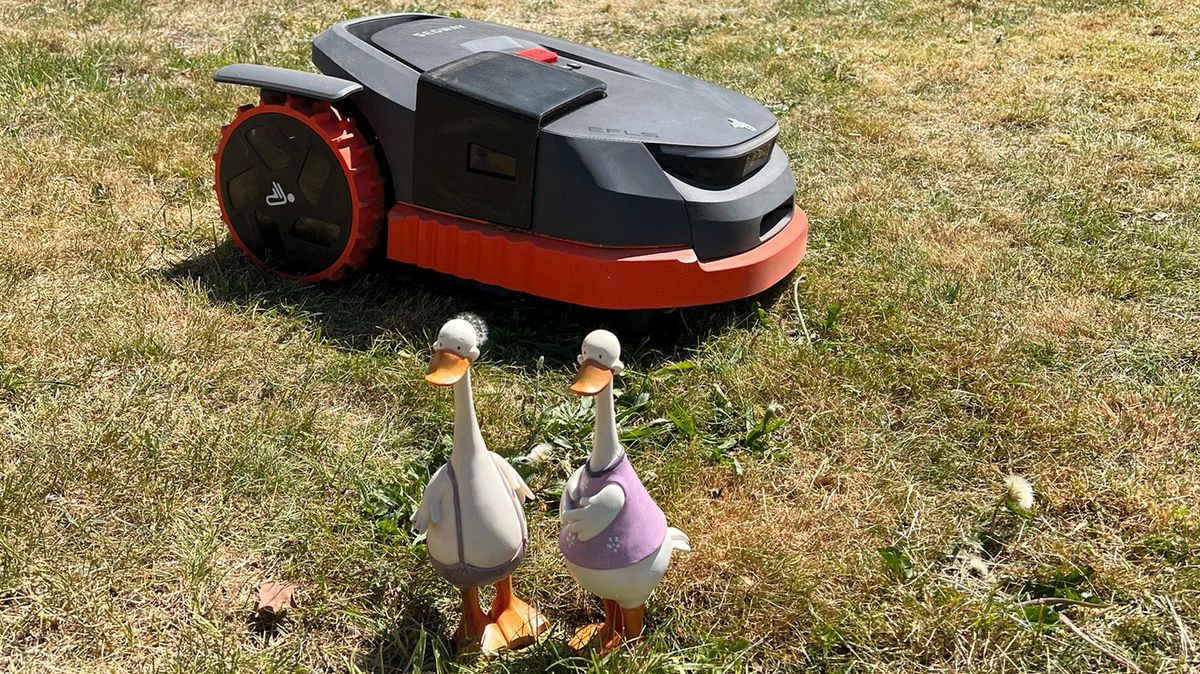 Die Hinderniserkennung des Navimow ist einwandfrei. Zwei Deko-Enten stehen auf einer Rasenfläche. Direkt hinter ihnen fährt ein Mähroboter der Marke Segway.