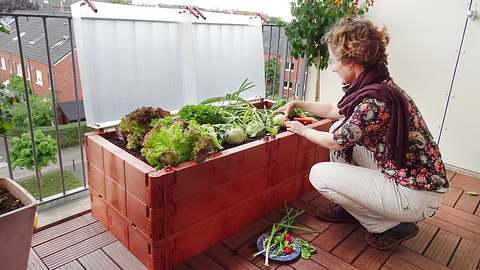 Hochbeet Balkon  - Foto: sidm