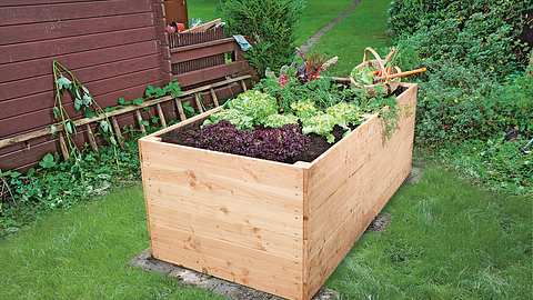 Hochbeet aus Holz bepflanzt im Garten - Foto: sidm