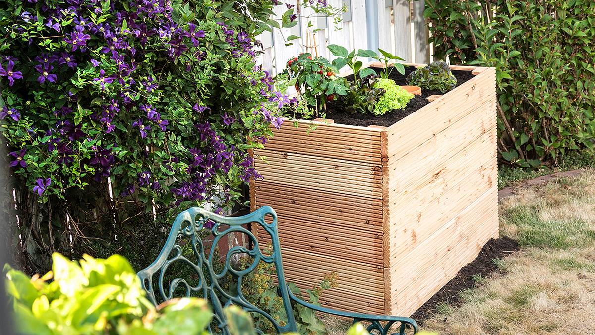 Ein Hochbeet aus Holz ist mit Erde und verschiedenen Gemüsepflanzen gefüllt, daneben ranken lila Blüten.