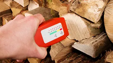 Holzfeuchtemessgerät - Foto: IMAGO / agefotostock Holzfeuchtemessgerät - Foto: IMAGO / agefotostock