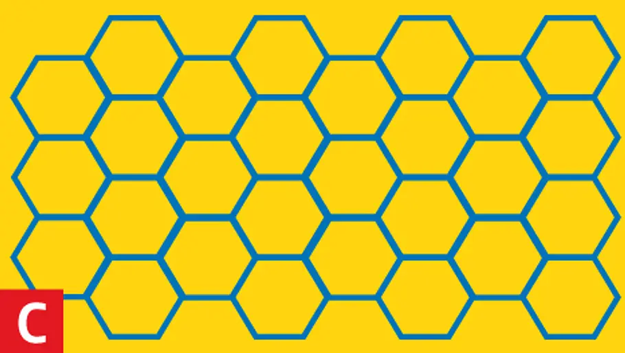 Funktionsschema: Abbinden von Holzleim Wie funktioniert eigentlich Holzleim?