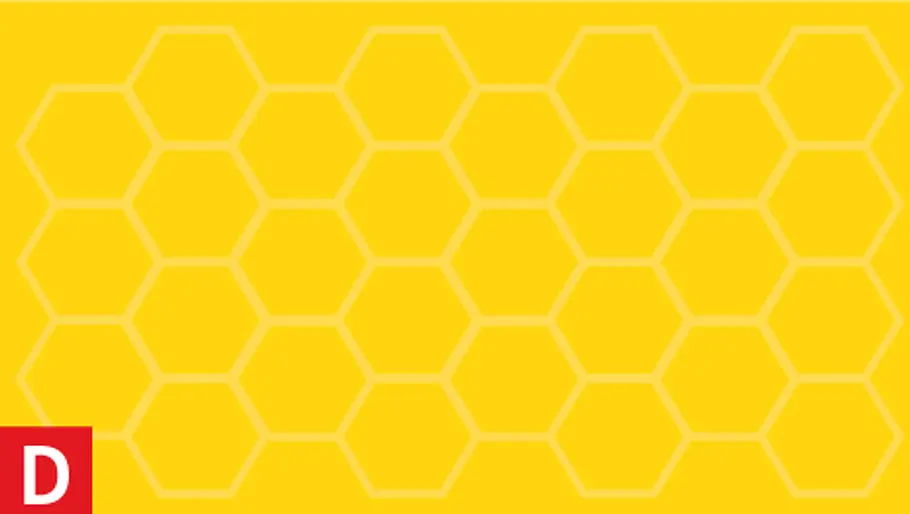 Funktionsschema: Abbinden von Holzleim Wie funktioniert eigentlich Holzleim?