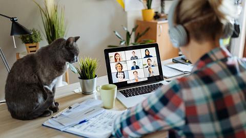 Home Office Gesetz - Foto: iStock / Drazen_