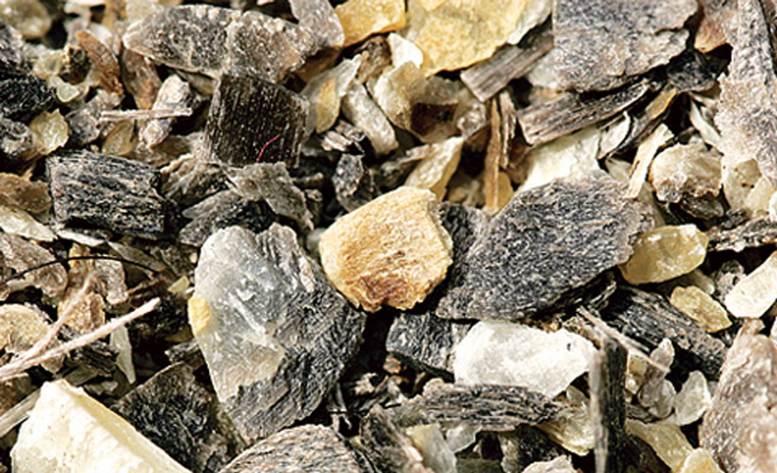 43+ Hornmehl Oder Hornspäne, Hornmehl wirkt schneller, hornspäne