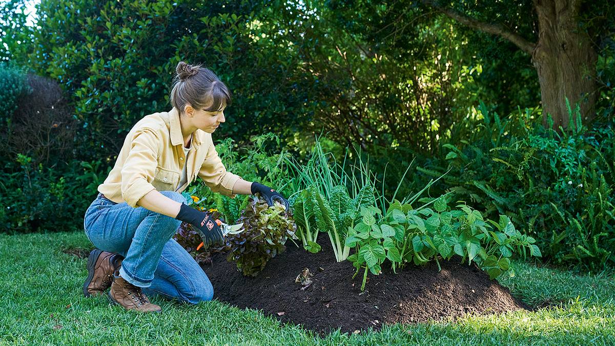 Frau pflegt Pflanzen auf einem Hügelbeet. In der Hand eine kleine Gartenschere.
