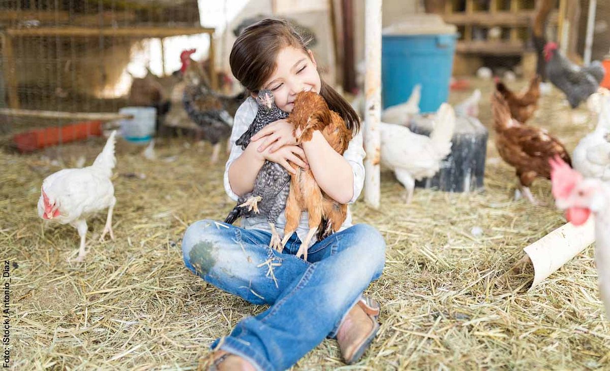Mädchen kuschelt mit Hühnern