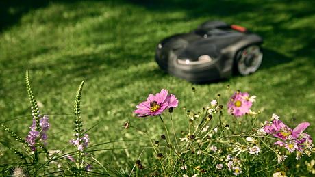 Mähroboter und Blumen - Foto: Husqvarna