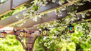 Die schönsten Ideen für die Pergola im Garten - Foto: istock/ablokhin