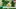 Video Platzhalter Video Platzhalter