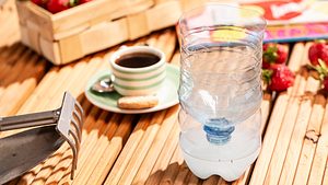 Eine selbst gebaute Mückenfalle steht mit einer Flüssigkeit auf einem Holztisch, daneben eine Tasse Kaffee und Erdbeeren. - Foto: sidm / Michael Müller-Münker